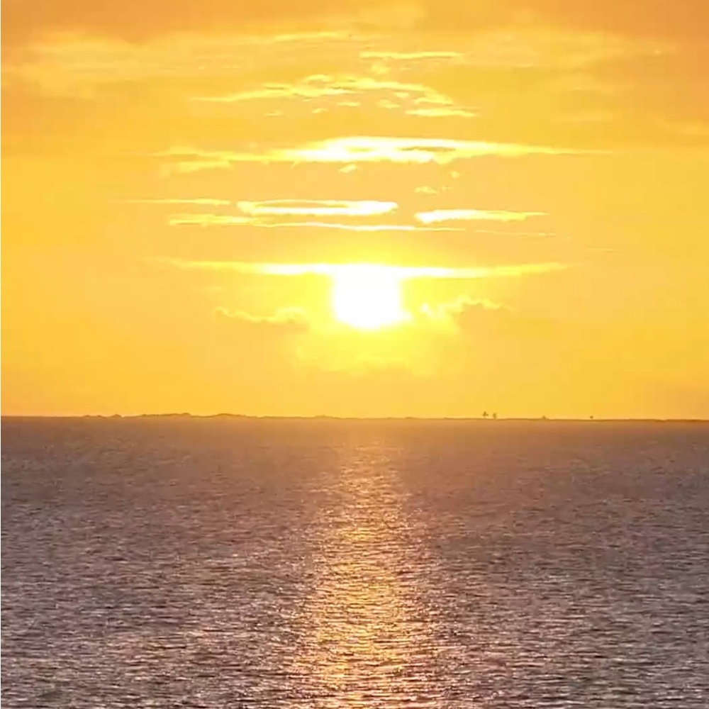 Meet your Posher, Irene